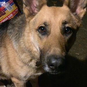 Meet your Posher, Janea